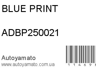 ADBP250021 (BLUE PRINT)